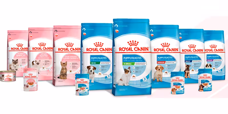 Royal Canin lança alimento focado na primeira fase de vida de filhotes de gatos e cães