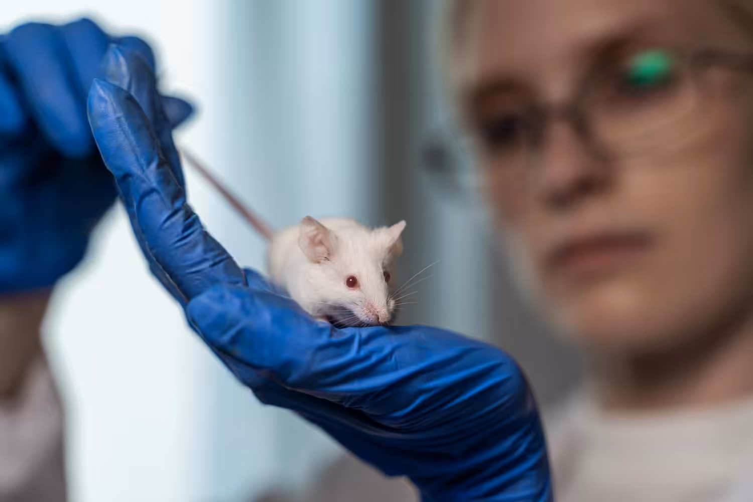 Manual reúne orientações sobre uso de animais em atividades de ensino e pesquisa