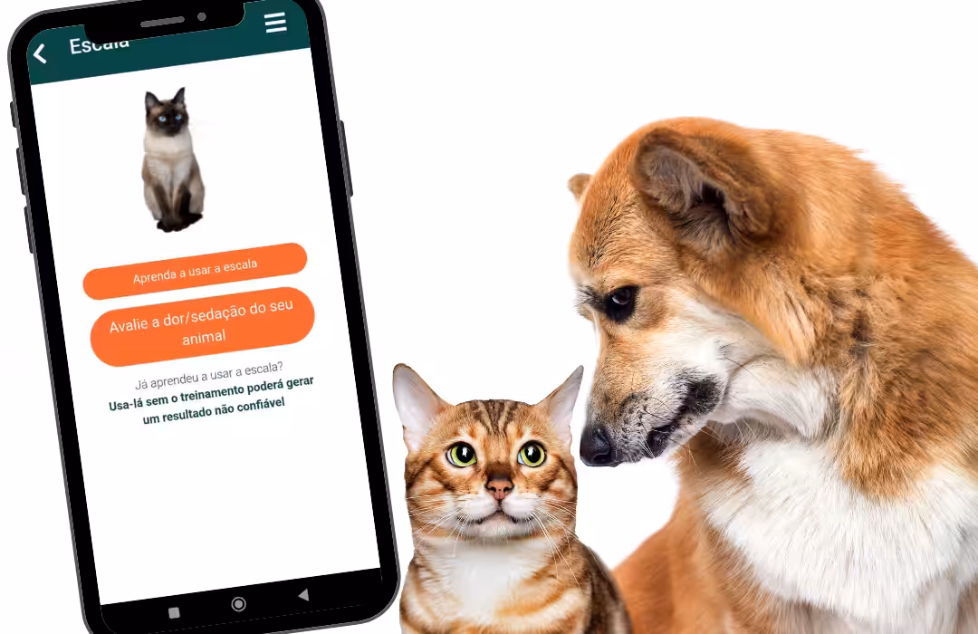 Após estudos em equipe, docente da FMVZ-Unesp lança aplicativo para avaliação da dor animal