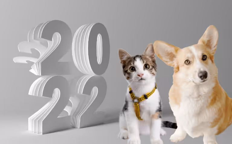 2022