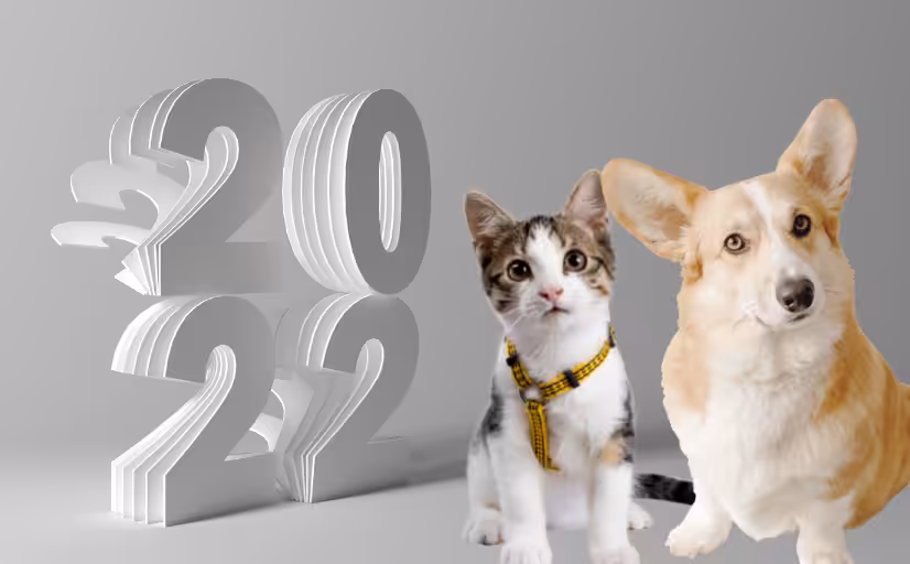 Retrospectiva 2022: Cuidados com a saúde física e mental de humanos e pets marcam o ano