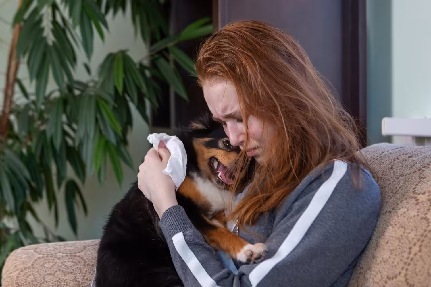 <strong>Vida compartilhada: Cães e gatos são capazes de perceber emoções de seus tutores</strong>