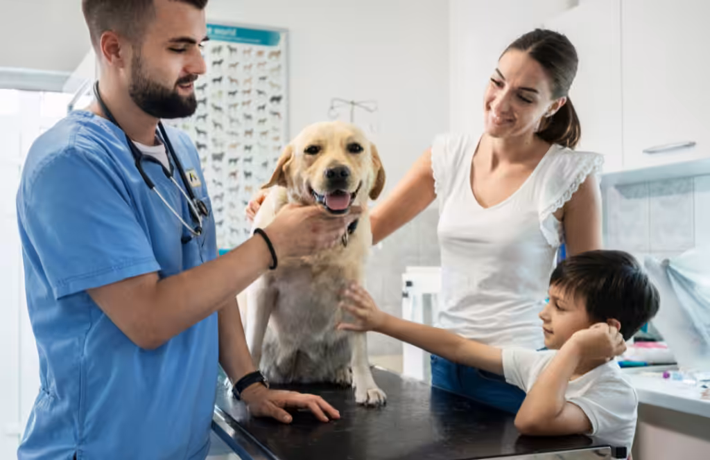 Medicina Veterinária Sistêmica traz visão e modo de atendimento diferenciado ao veterinário