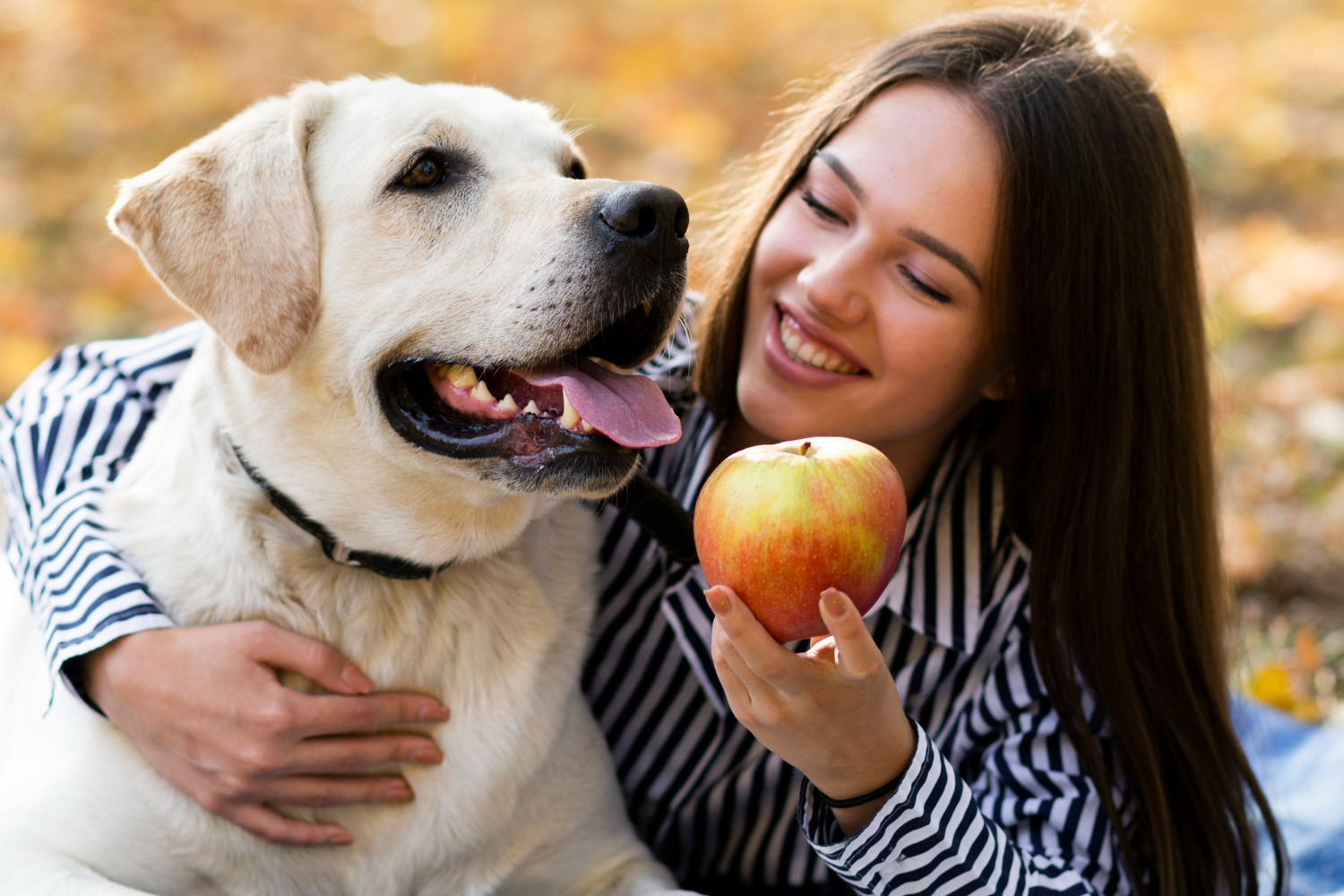 Veterinário indica frutas seguras para oferecer aos pets