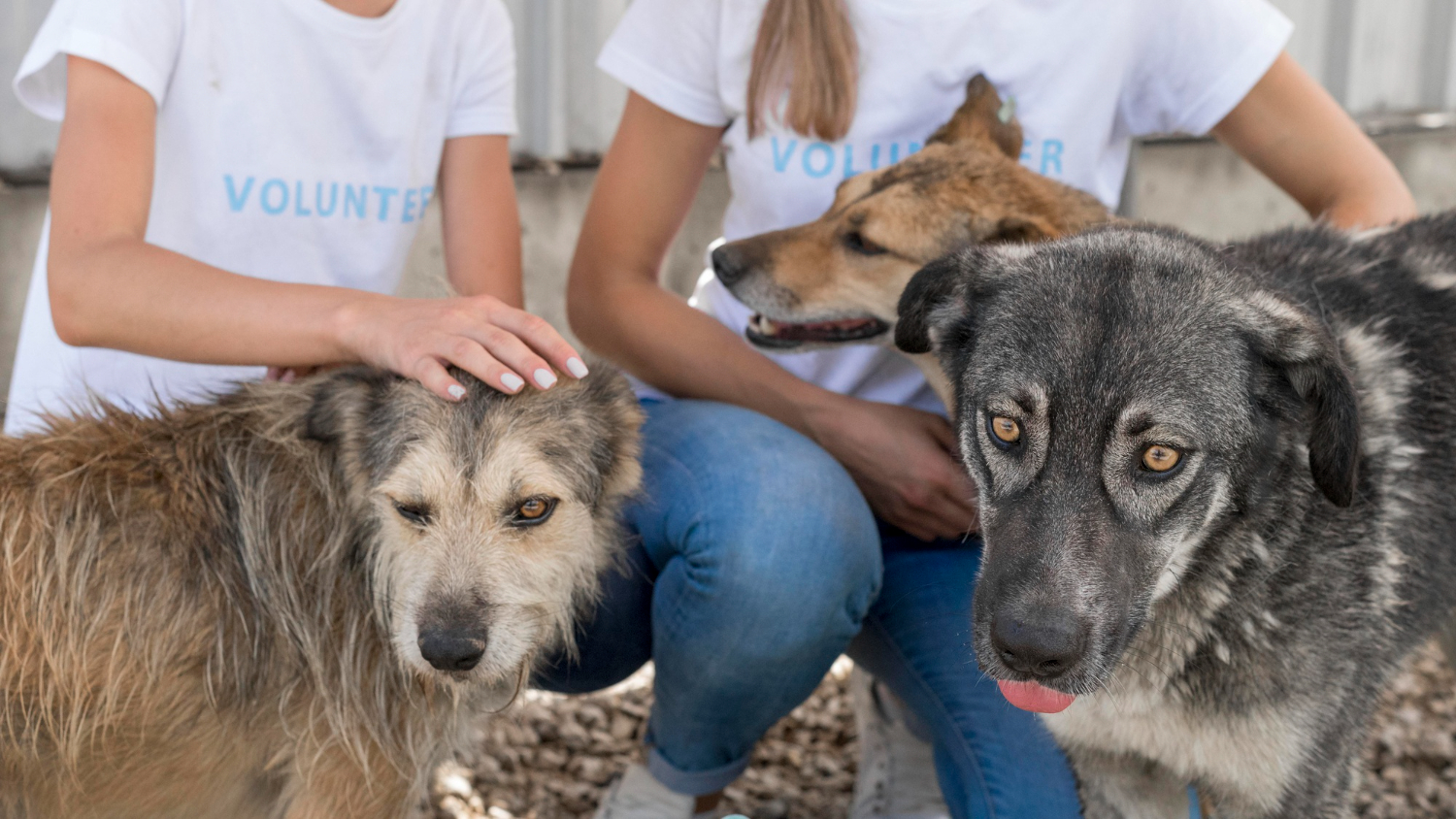 foto-voluntario