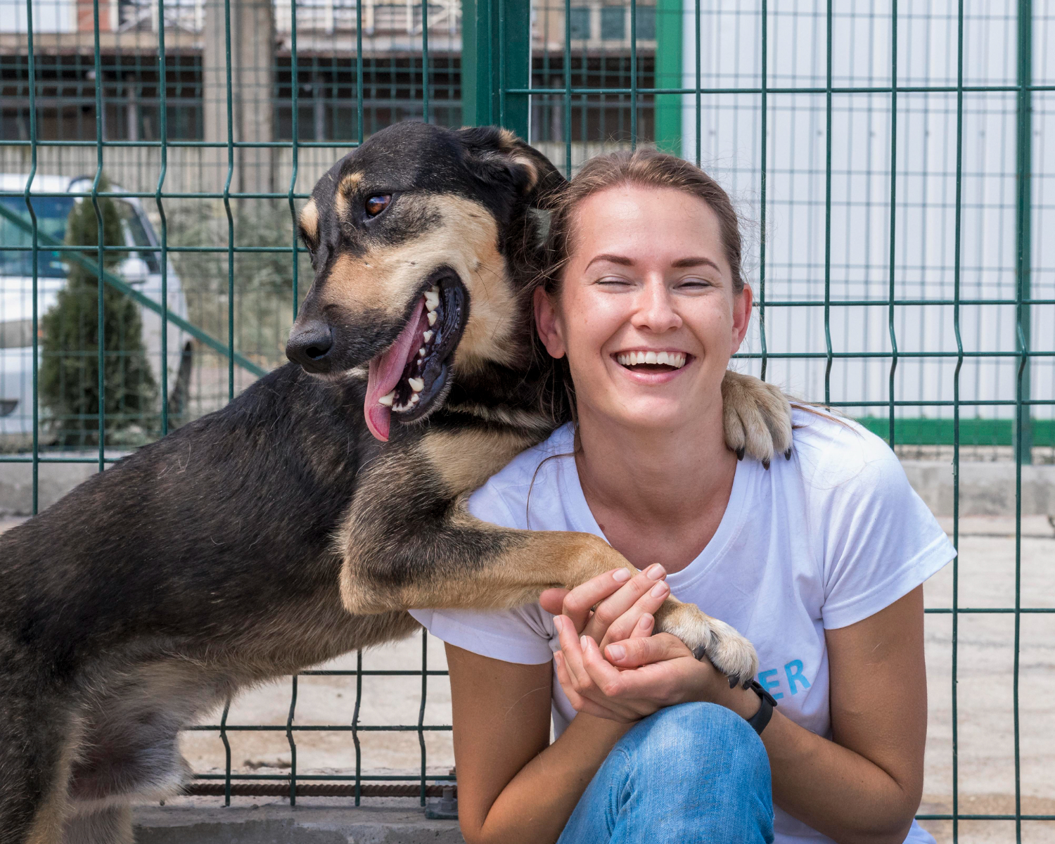 Adotar um cachorro pode ajudar a prevenir a depressão