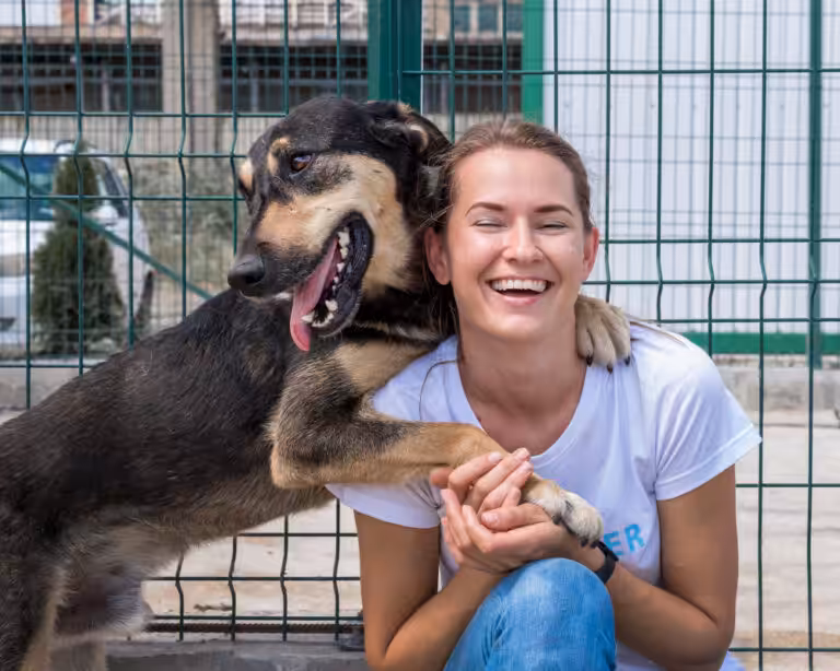 Cães e gatos percebem emoções humanas e adaptam suas reações