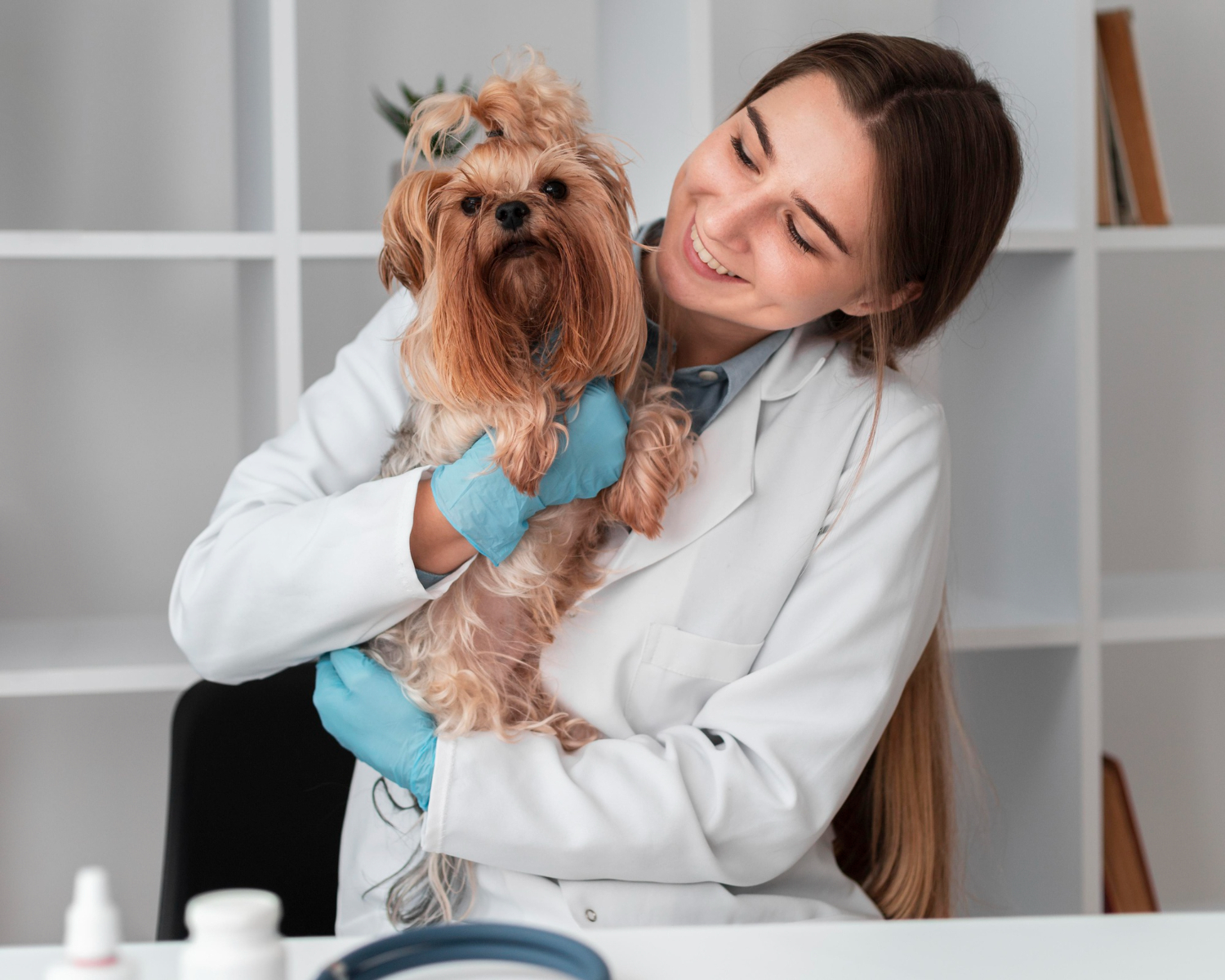 cachorro e cuidados vet