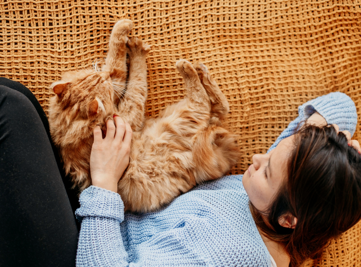 Agitação noturna do seu gato pode ser sinal de tédio ou ansiedade
