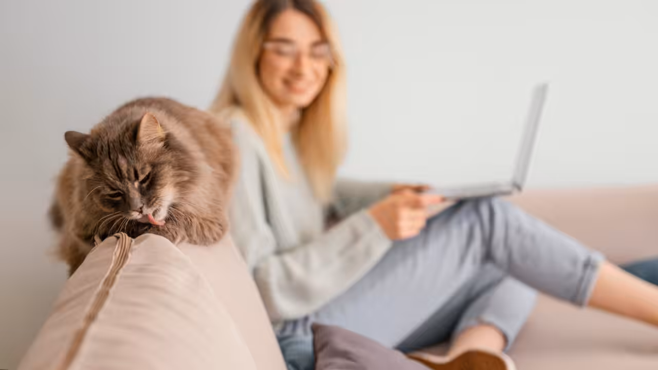 A castração pode mudar o comportamento do meu gato?
