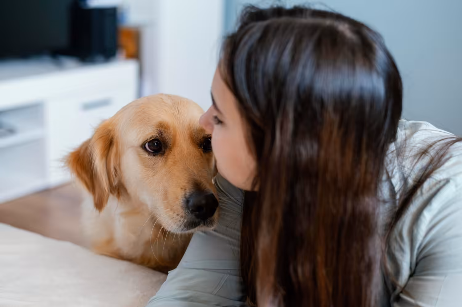 Passeios, carinhos e olhares são os pilares para o bom relacionamento entre tutor e cão