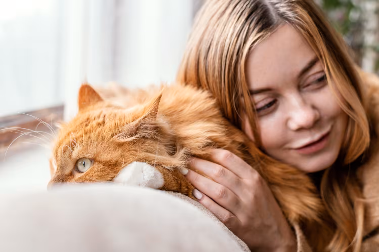 Descubra como e por que os gatos ronronam