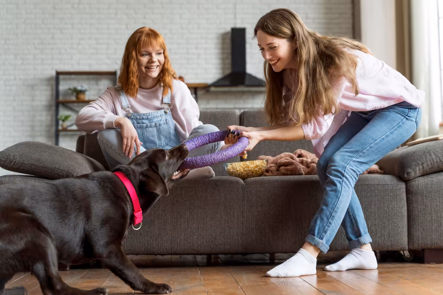 Estímulos físicos e mentais ajudam a prevenir problemas comportamentais em cães