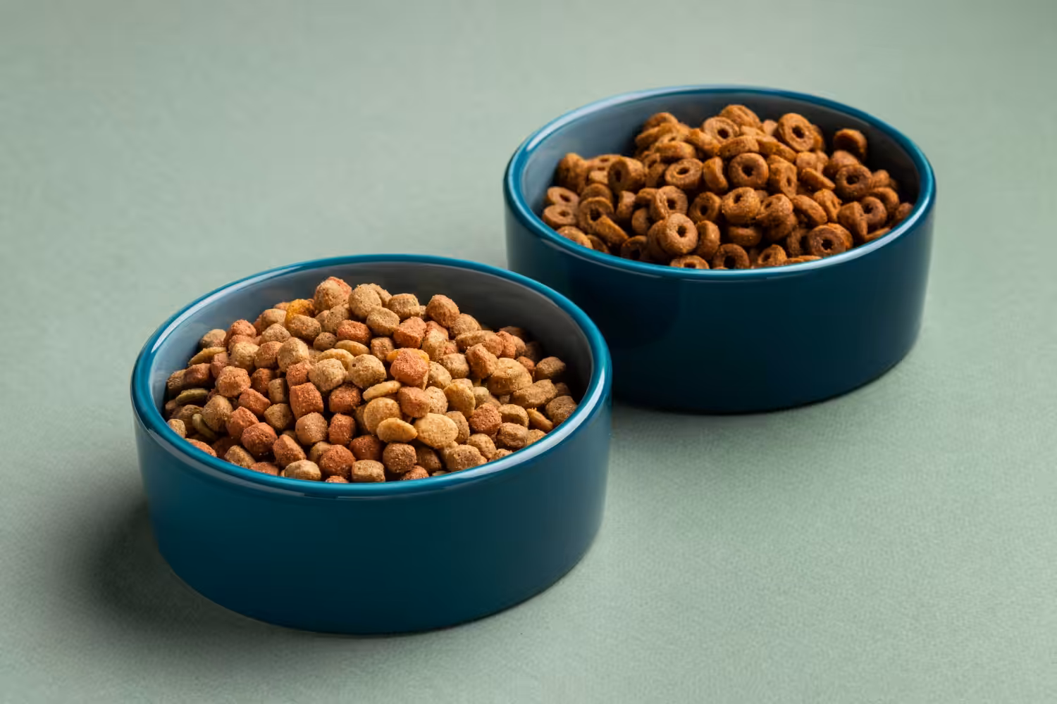 Formato da ração influencia bem-estar e nutrição do seu cão