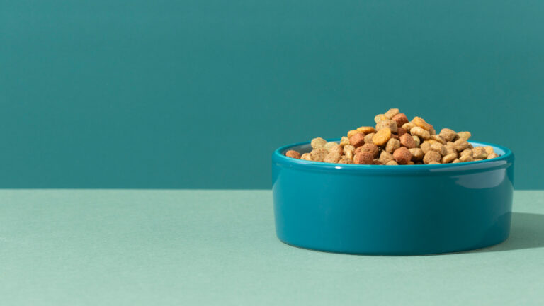 Nova geração de antifúngicos traz mais proteção para o pet food