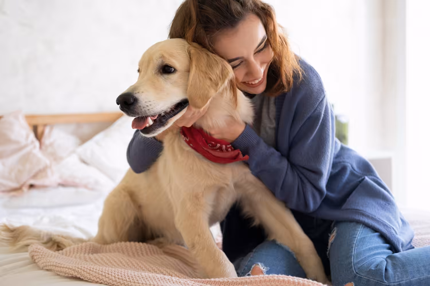 Cientistas apontam que cães estão entrando em uma nova fase de evolução