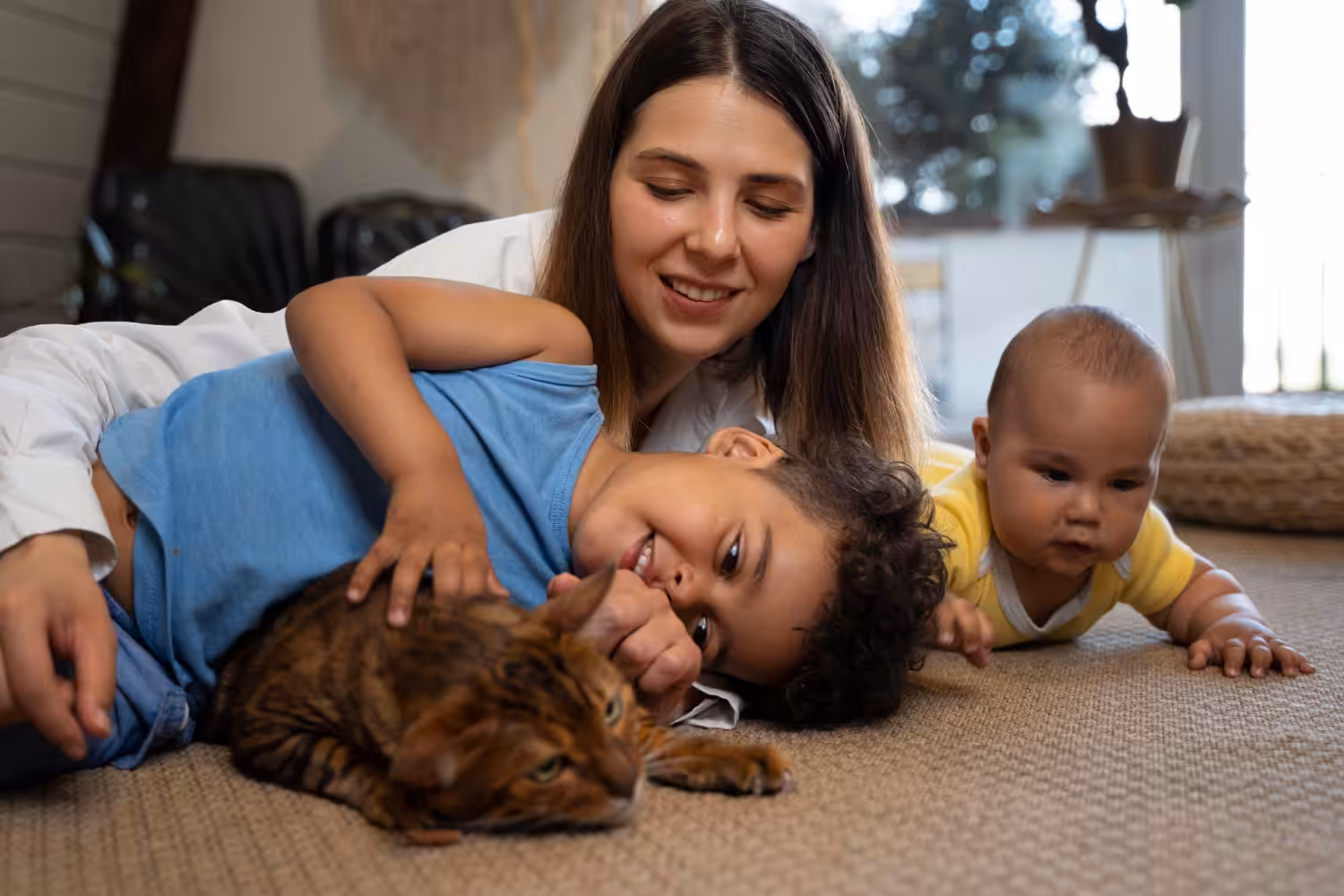 Entenda os motivos do crescimento de animais domésticos no Brasil