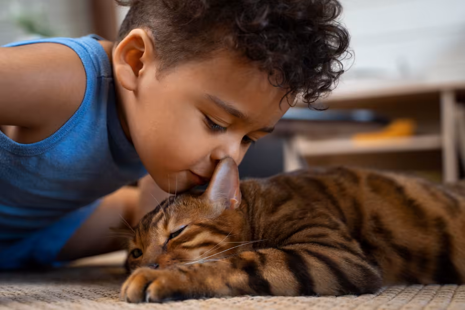 Gatos demonstram capacidade de viver harmoniosamente com crianças