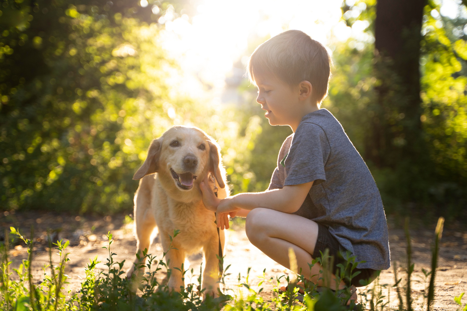 Dicas auxiliam a boa convivência entre cães e crianças