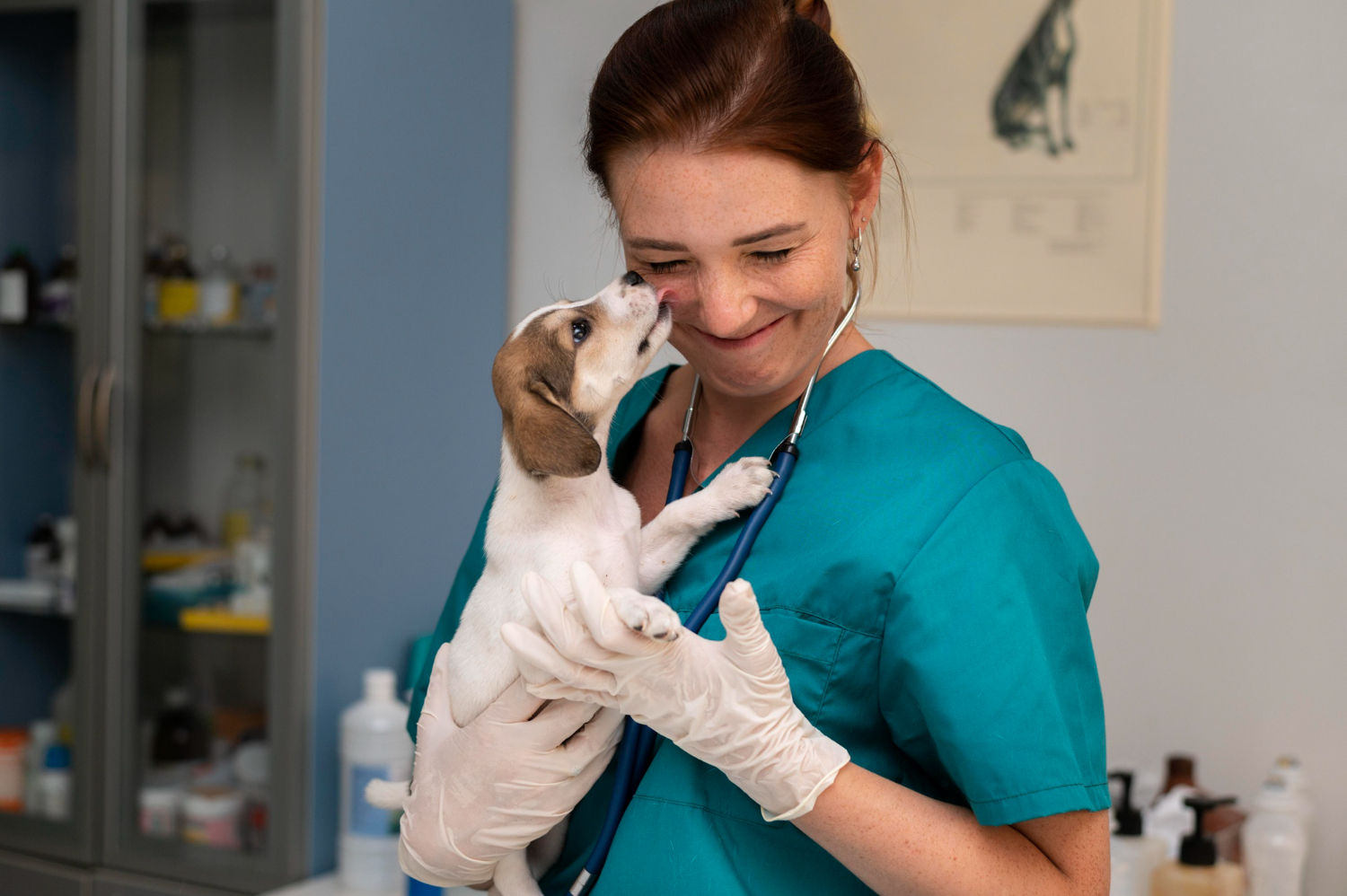 foto-veterinária