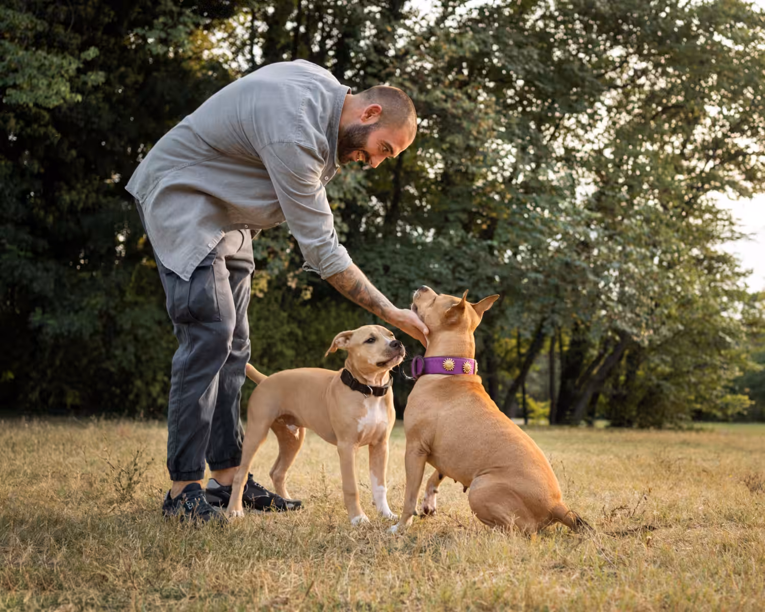 Profissional comenta a evolução do setor pet e as profissões que transformam o cuidado animal