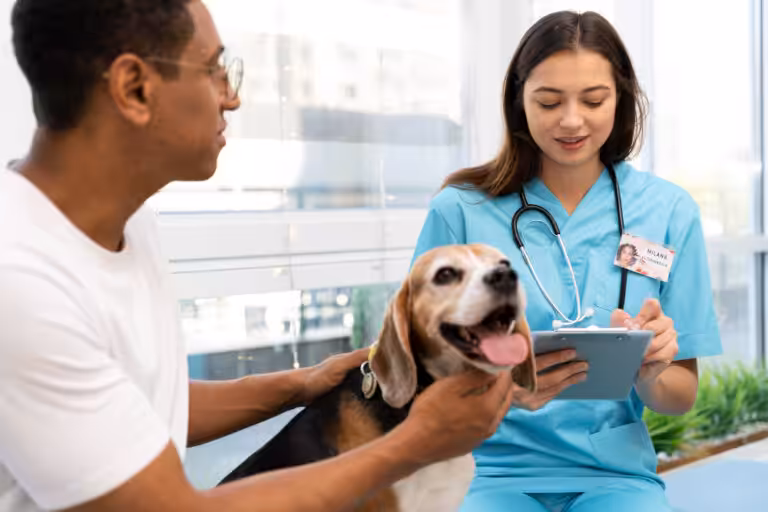 Dia Mundial das Zoonoses: Prevenção e informação reduzem os riscos das zoonoses no dia a dia