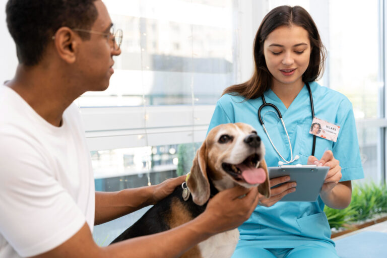Dia Mundial das Zoonoses: Prevenção e informação reduzem os riscos das zoonoses no dia a dia