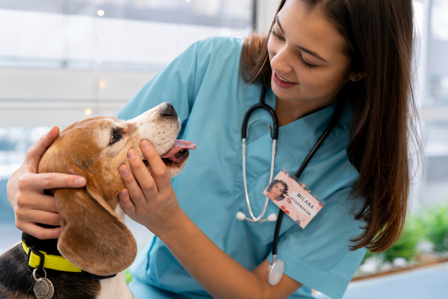 Resistência antimicrobiana também é alerta para veterinários
