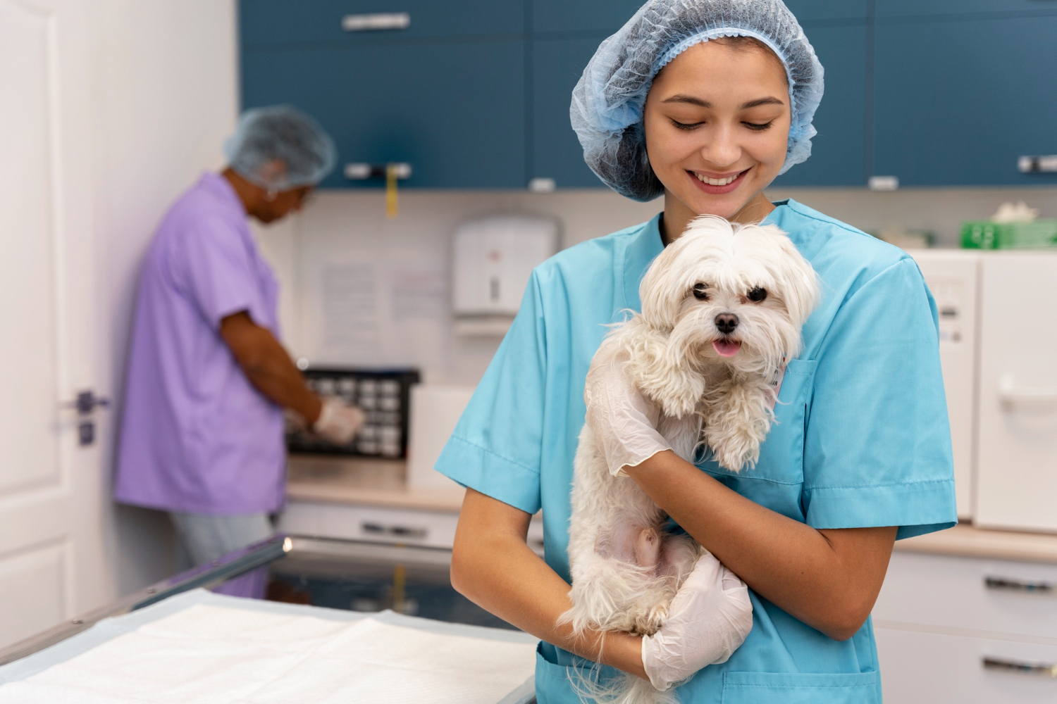 Programa capacita novos veterinários e reforça a importância da nutrição especializada