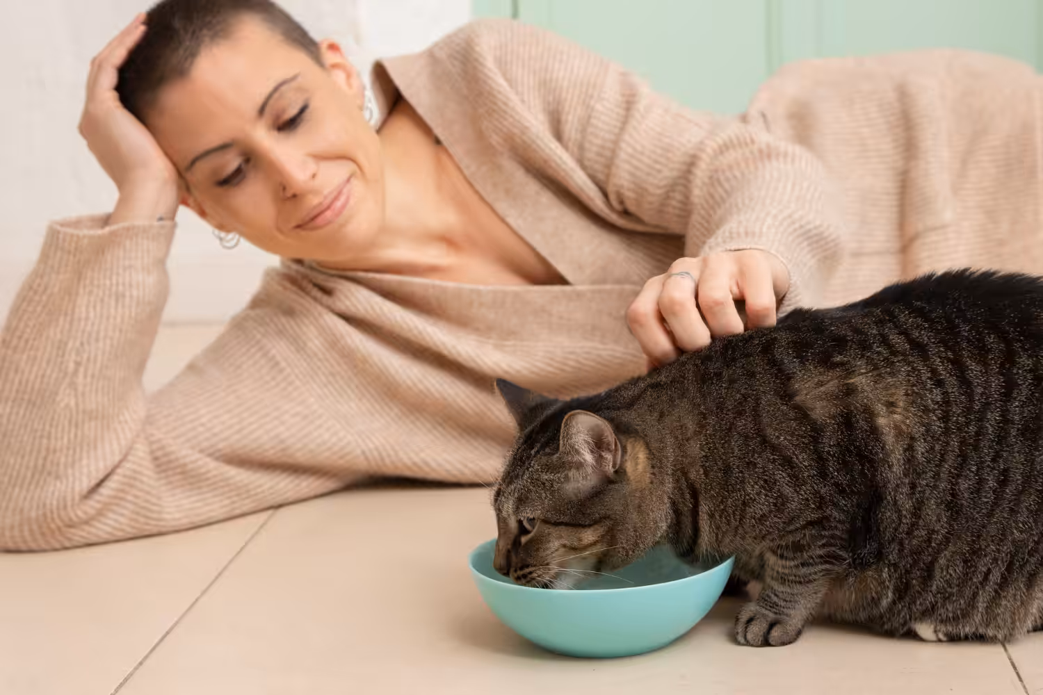 Qual o papel da nutrição para pets hospitalizados?