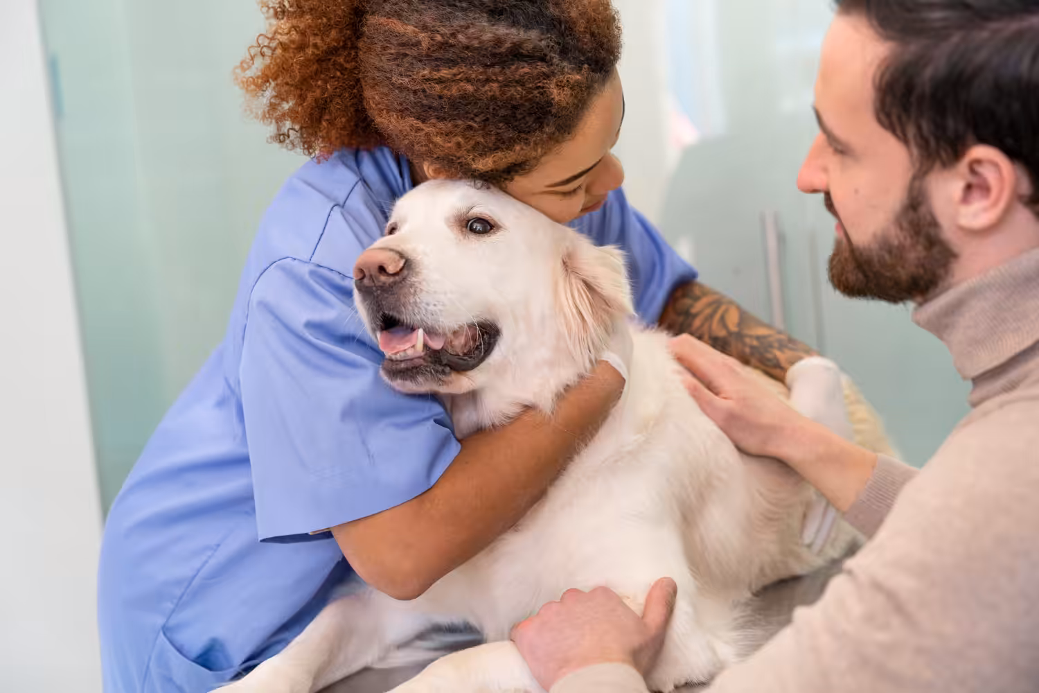Saiba do impacto da disbiose para animais com doenças crônicas