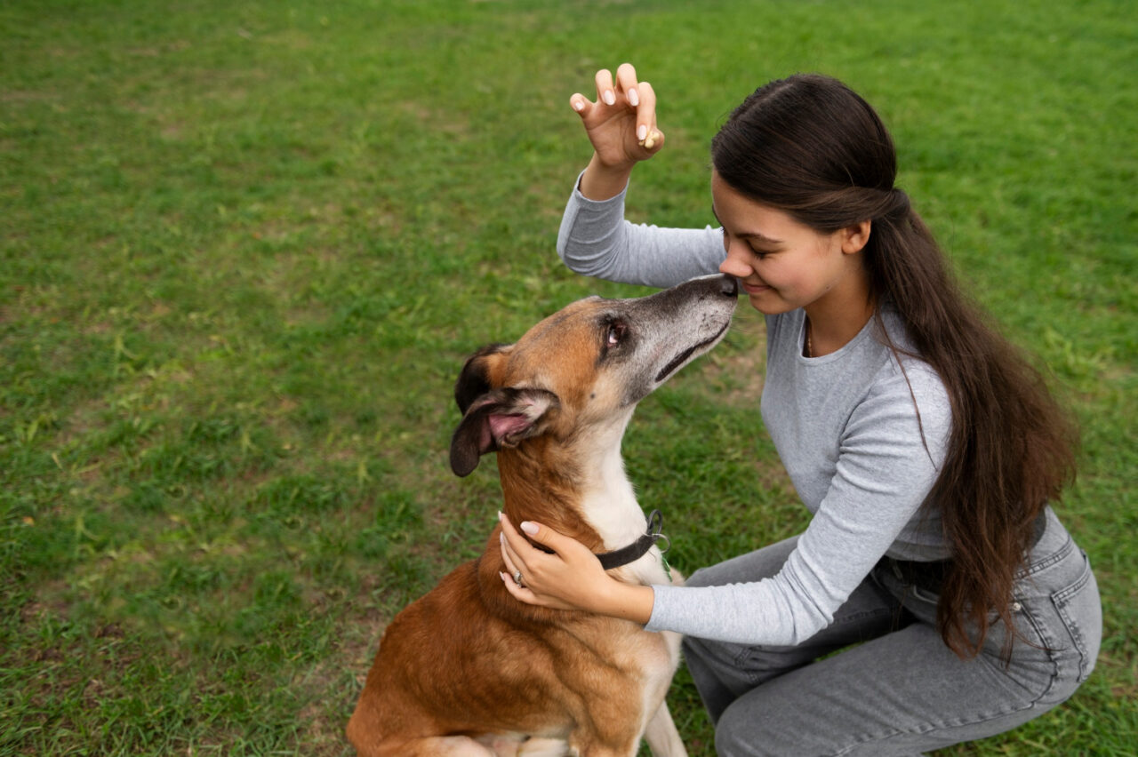 Veterinária lista dicas para aplicar o reforço positivo com o seu pet