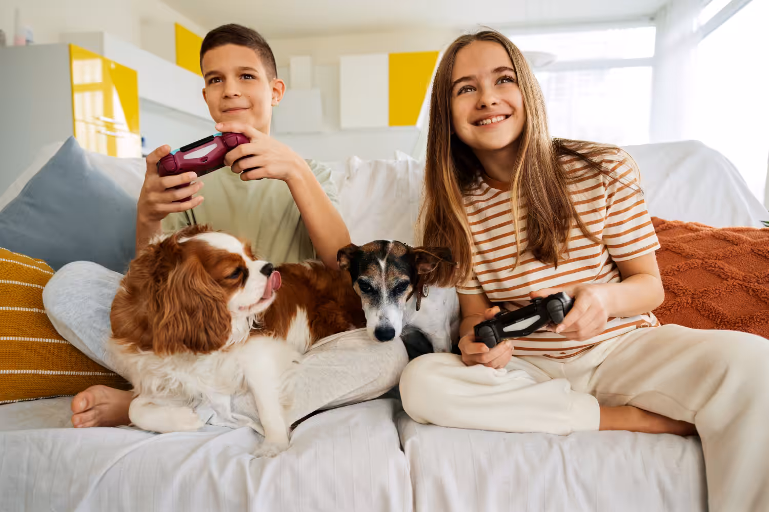 Brasil tem terceira maior população pet do mundo