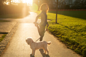 passeando com cão