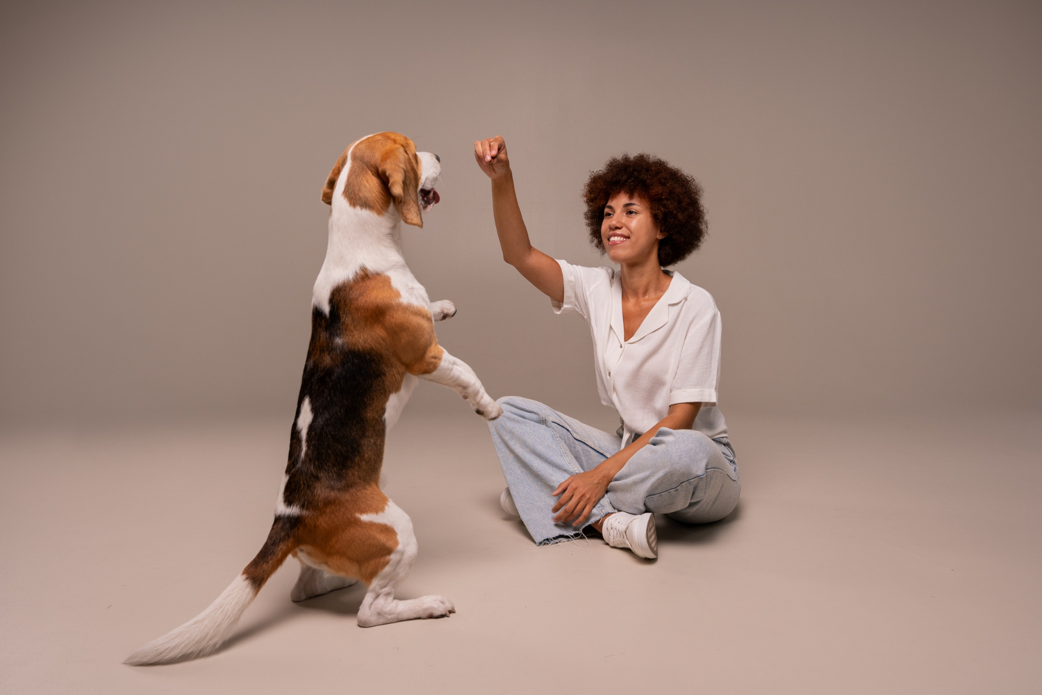 IFSP promove palestra sobre comunicação em língua de sinais com cães surdos