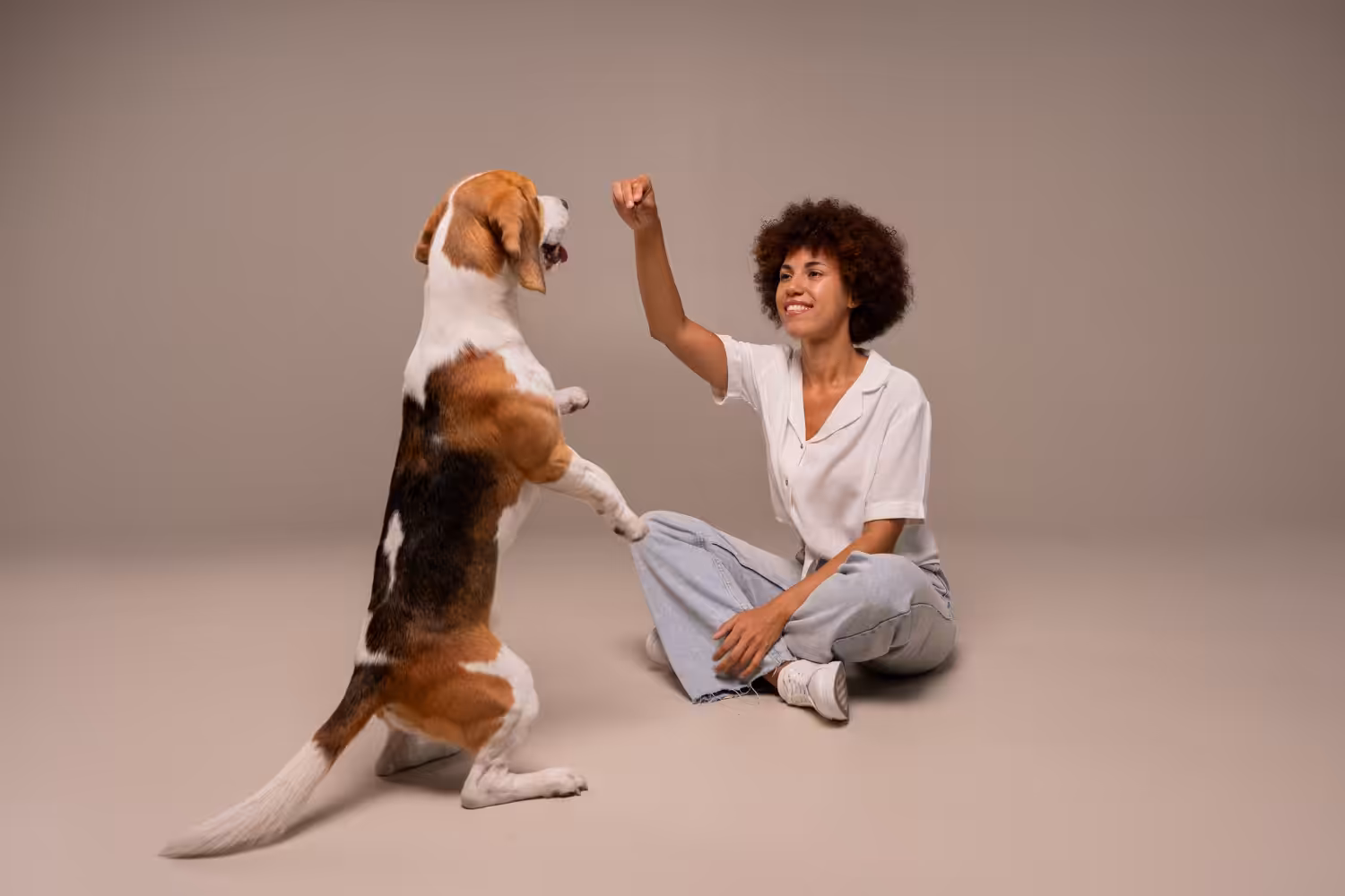 Adestramento de cães passa por métodos mais tradicionais até os mais modernos
