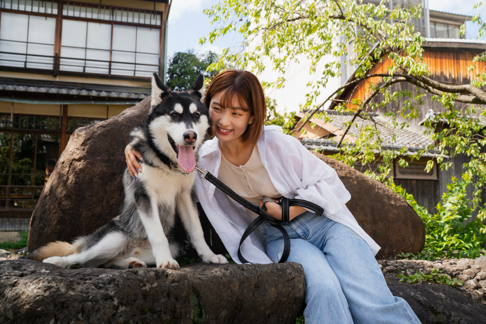 Levantamento mostra que no Japão há mais cães e gatos do crianças menores de 16 anos