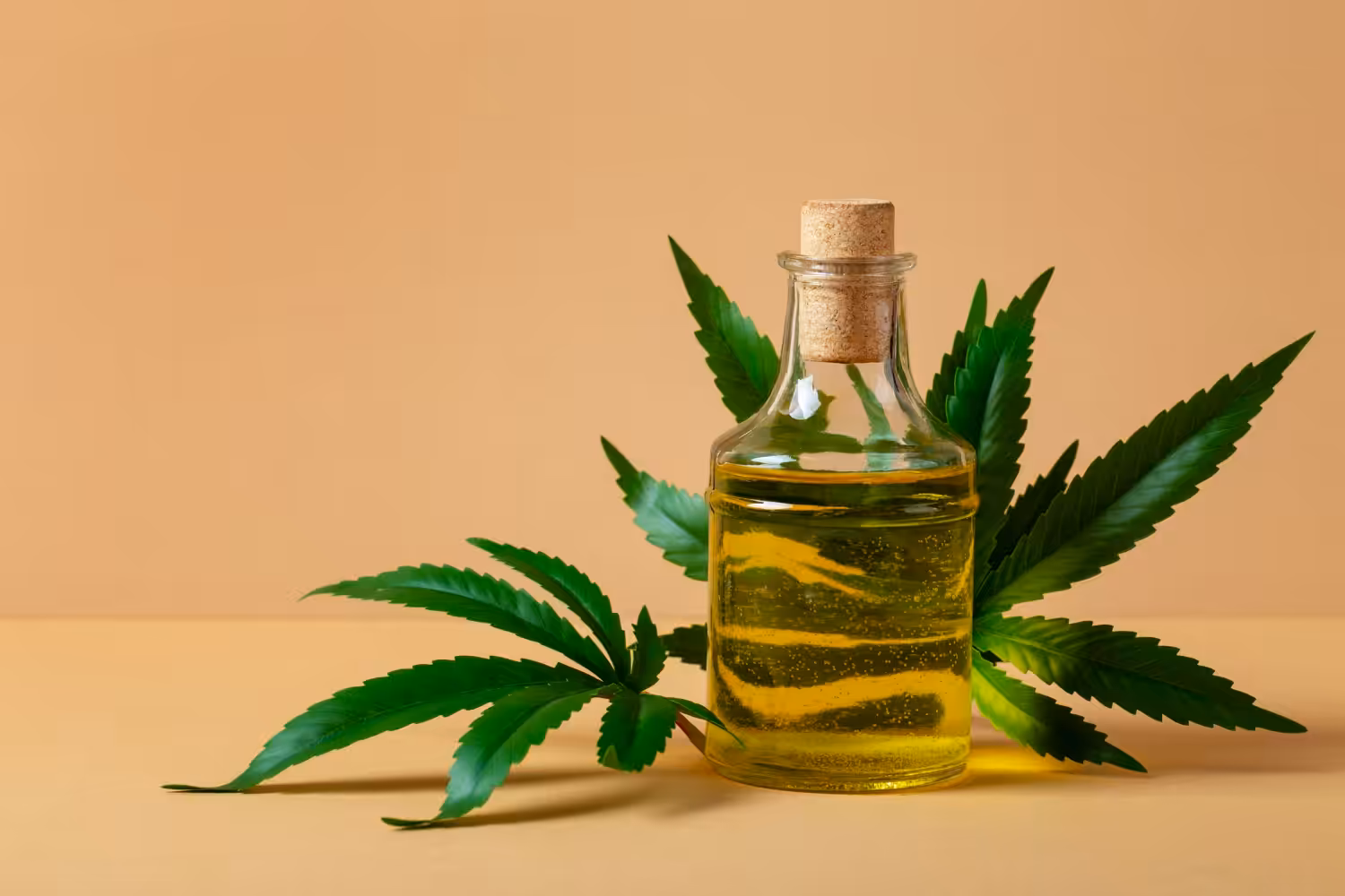 Cannabis Medicinal: Profissional aborda avanços na regulamentação e tratamentos para cães e gatos