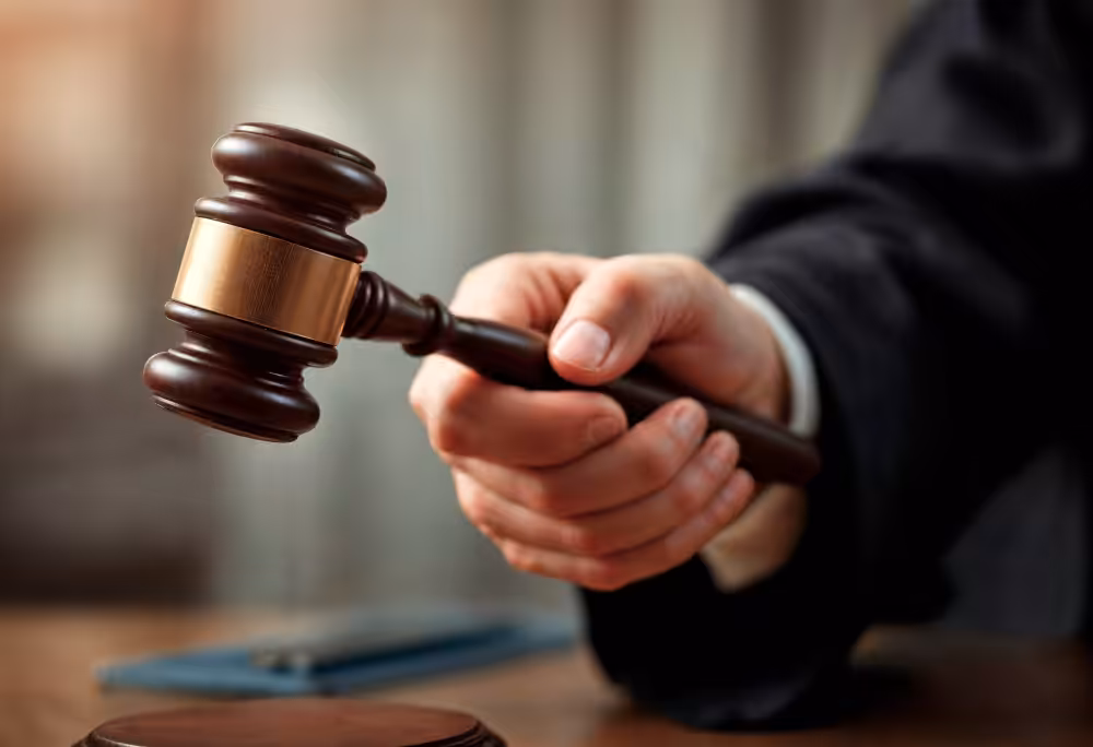 Como se proteger de processos durante o atendimento veterinário