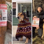 "Frentiscão" de Campinas (SP) some na Patagônia e mobiliza buscas na Argentina