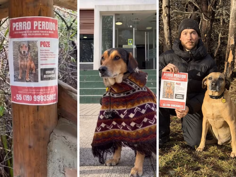 “Frentiscão” de Campinas (SP) some na Patagônia e mobiliza buscas na Argentina