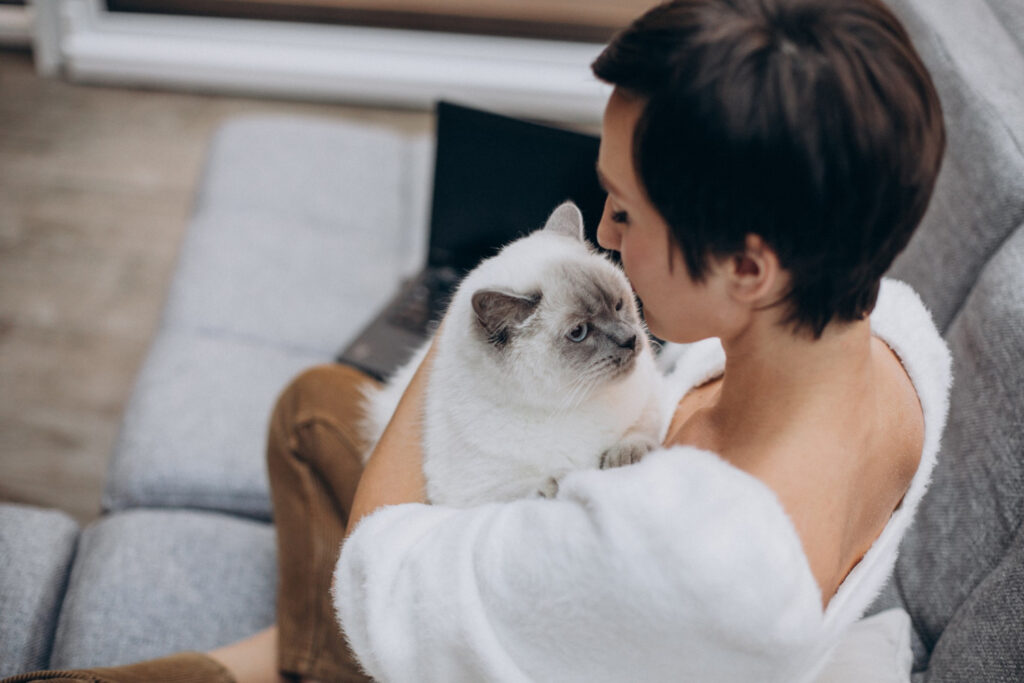 gato e dono