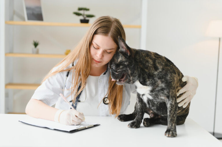 Prazo para entrega de prontuários médicos-veterinários muda para cinco dias úteis
