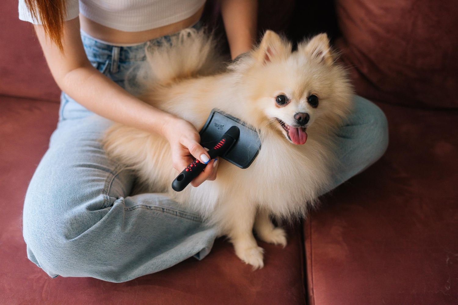 Saber como desembaraçar nó do seu cão pode facilitar nos cuidados diários
