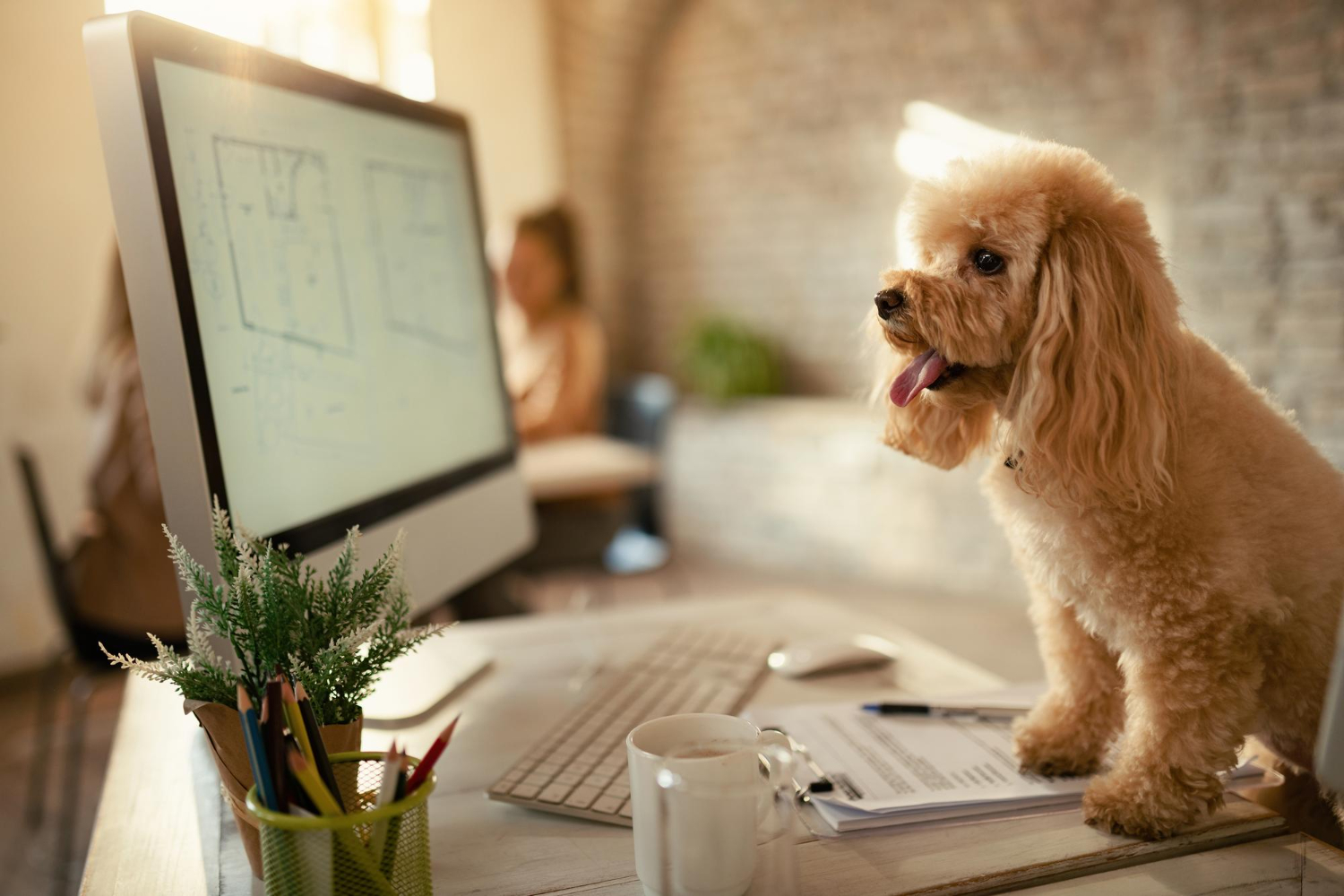 Como startups estão revolucionando a Medicina Veterinária