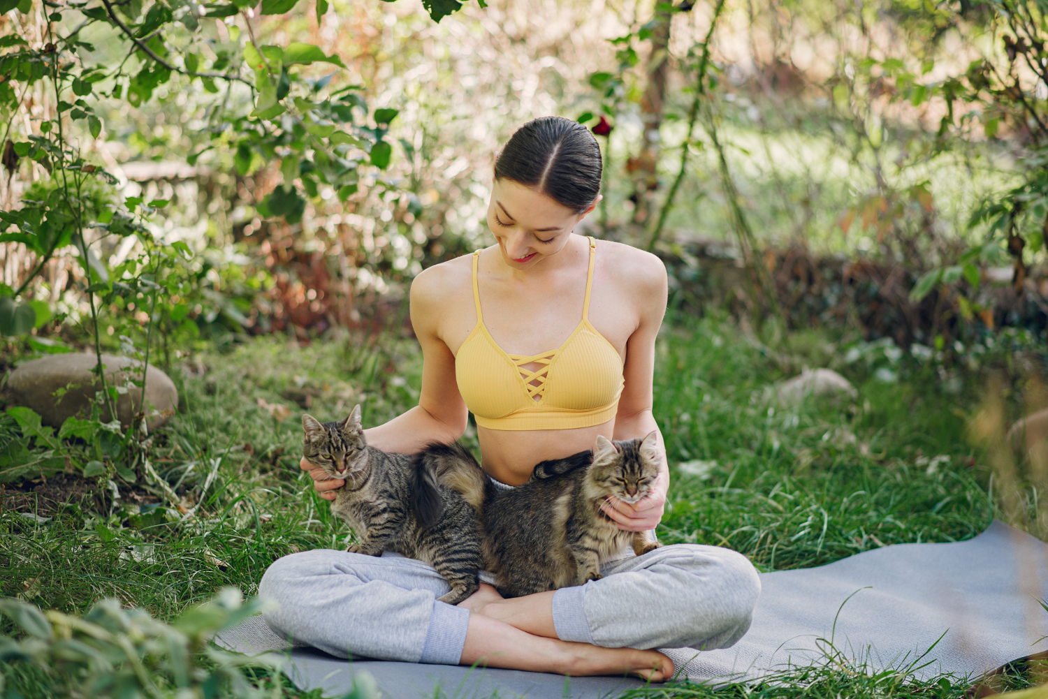 Yoga com gatos traz benefícios para humanos e bichanos