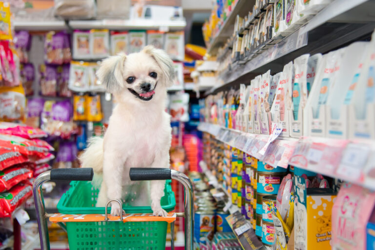 cachorro pet shop