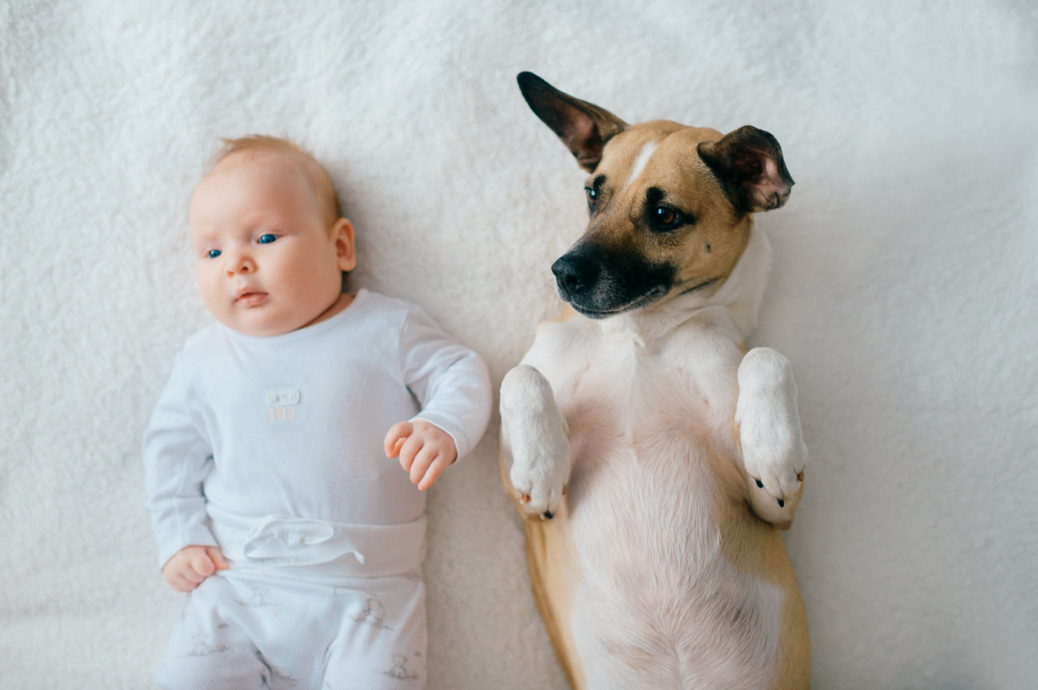 bebe e cachorro