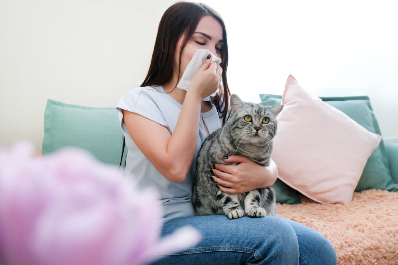 É possível humanos e pets conviverem mesmo com alergias?