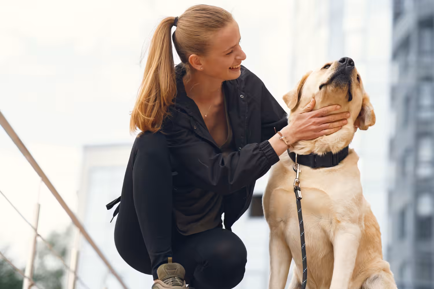 Pets têm direito a pensão na separação do casal? Advogada explica sobre o conceito